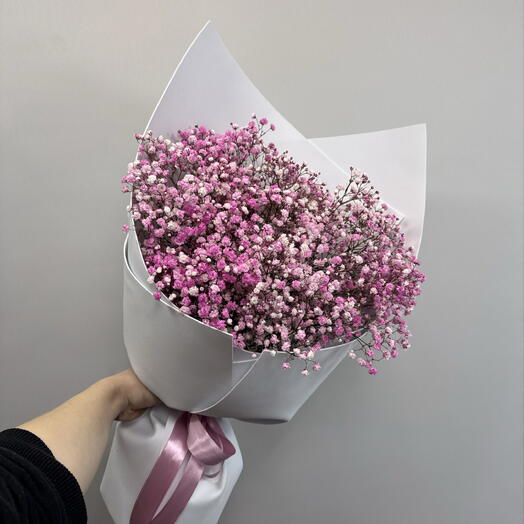 Гипсофила розовая