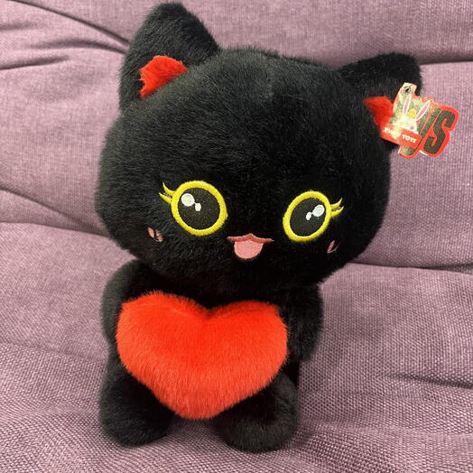 Черный котик