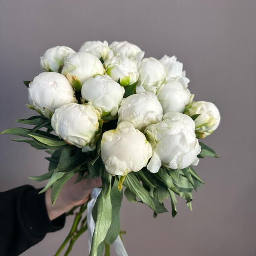 Пионы белые 15 шт