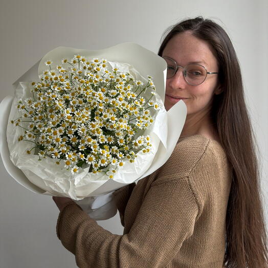 Милые ромашки🌼