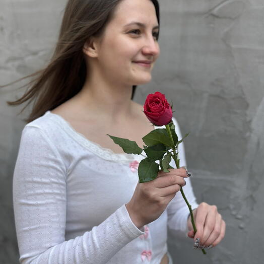 Роза Кения 32 см