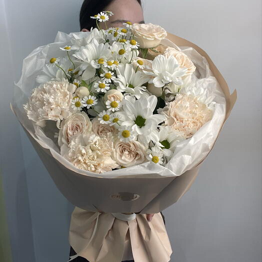 Прованс