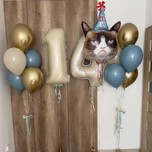 Шары 14 лет, кот в в колпачке