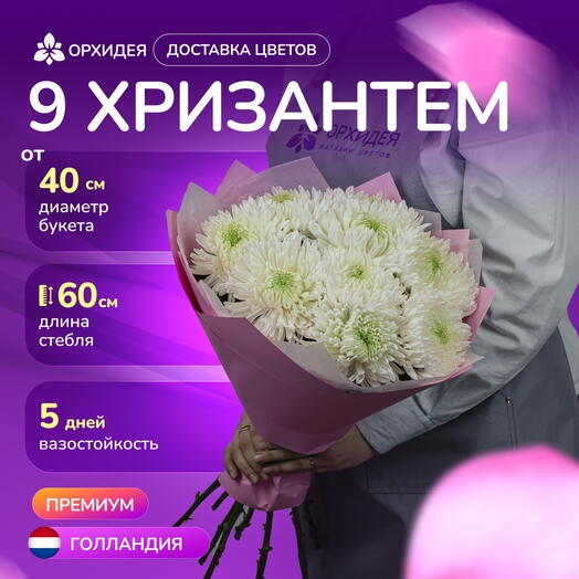Букет 9 Хризантем магнум белые