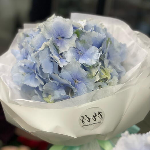 Irisfloraby