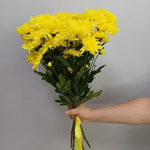 Букет из 5 кустовых хризантем