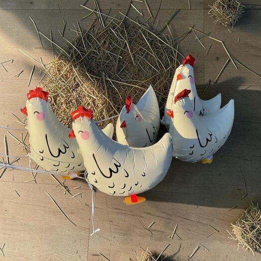 Сет Курочки 🐥