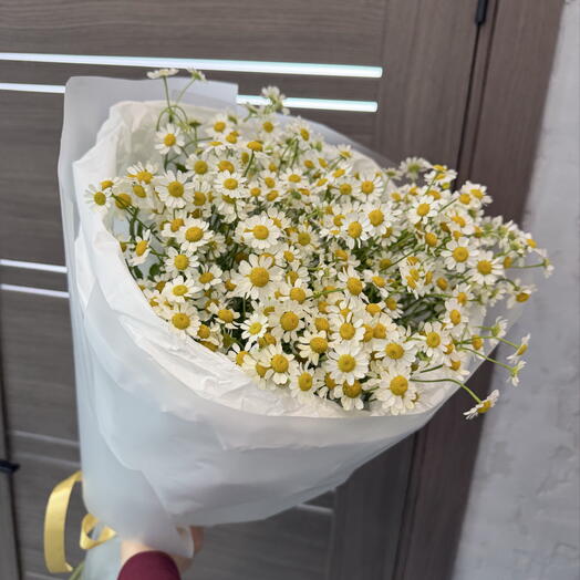 Букет ромашки М