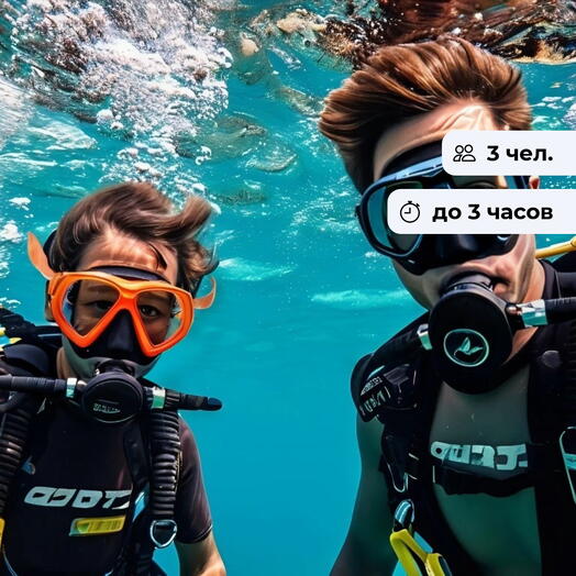 Подводный мир.  Дайвинг-погружение в бассейне
