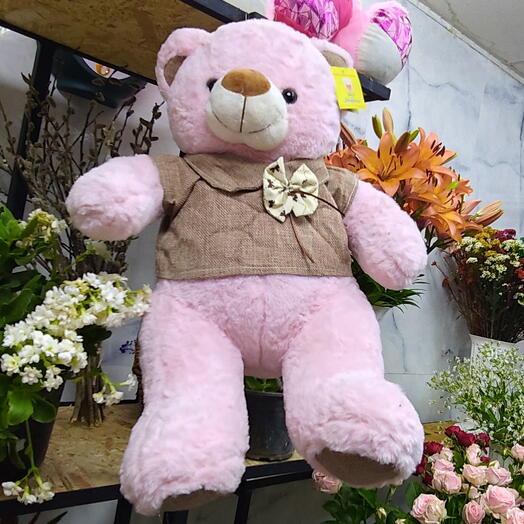 Teddy Bear (pink)