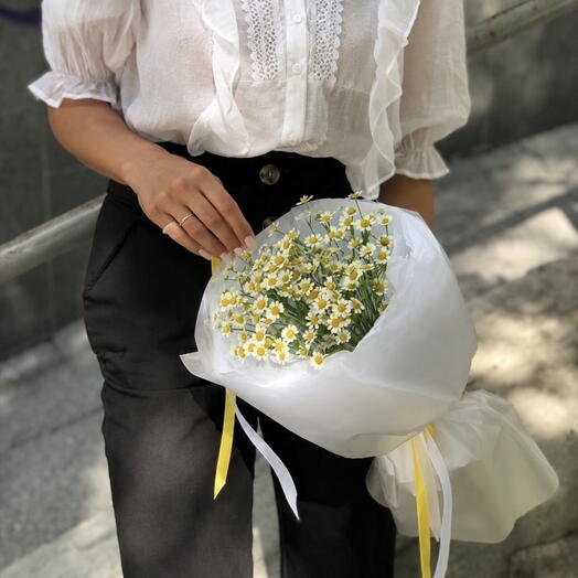 Ромашки