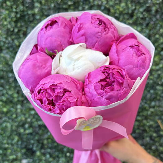 АКЦИЯ букет из 7 ароматных пионов🌸