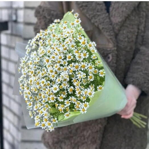 Букет из полевых ромашек