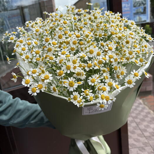 Букет из ромашек 544