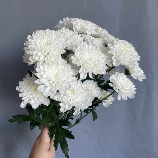 Три нежности💐