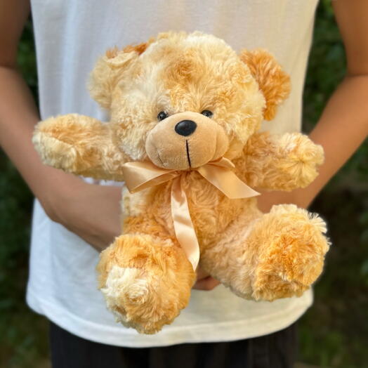 Мягкая игрушка плюшевый мишка карамельный (19см) 1шт. Soft toy Teddy bear caramel color (19cm) 1pc