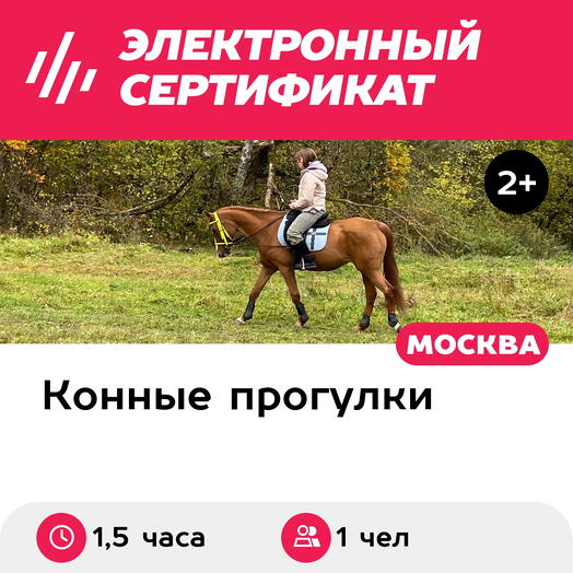 Подарочный сертификат Индивидуальная конная прогулка шагом, 1 чел. (1,5 часа) (Московская область)