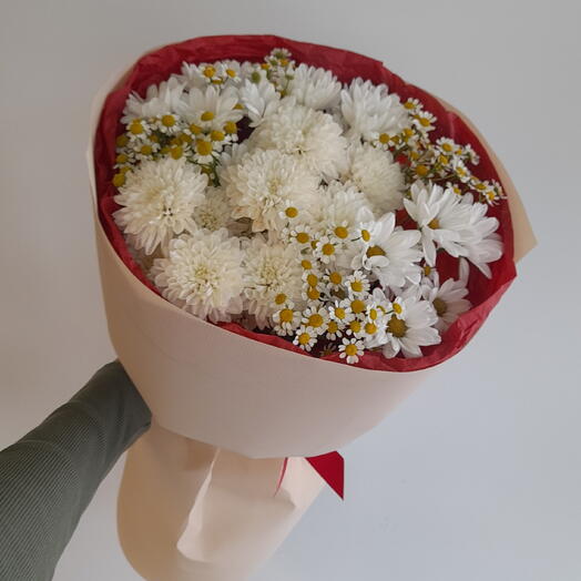 Комплимент/ хризантема кустовая/ матрикария/ цветывуфе