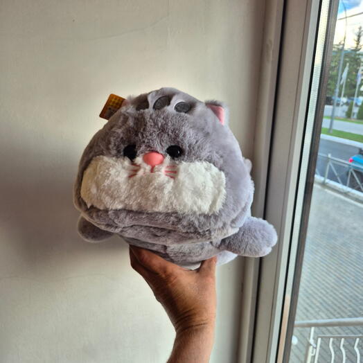 Лежачий Кот