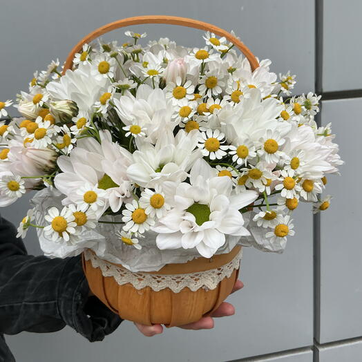 Корзина ромашек