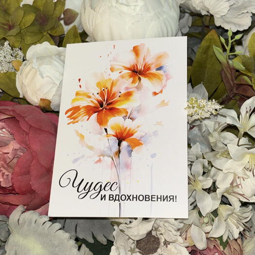Oze flowers 