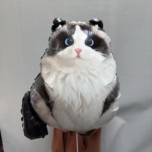 Воздушный шар котик 60 см
