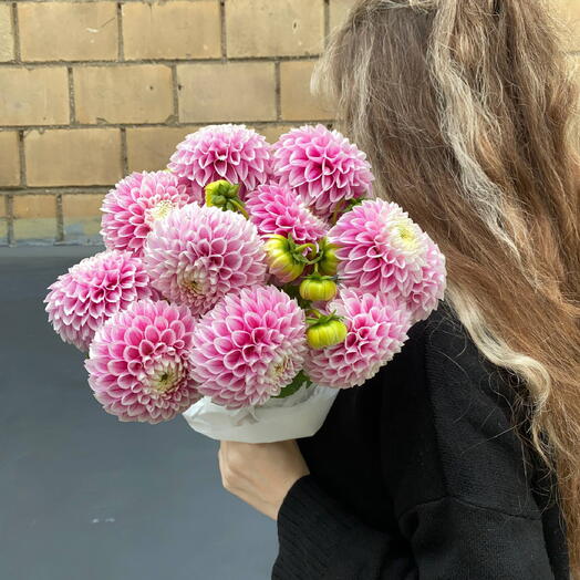 ГЕОРГИНЫ РОЗОВЫЕ 9ШТ