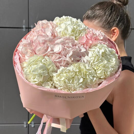 Нежное моно сортовых гортензии