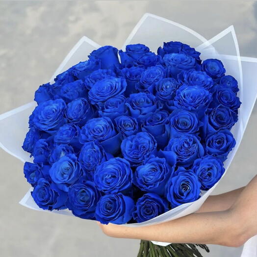 Blue roses