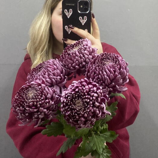 Хризантемы фиолетовые 💜 бигуди хит под ленту 5 шт