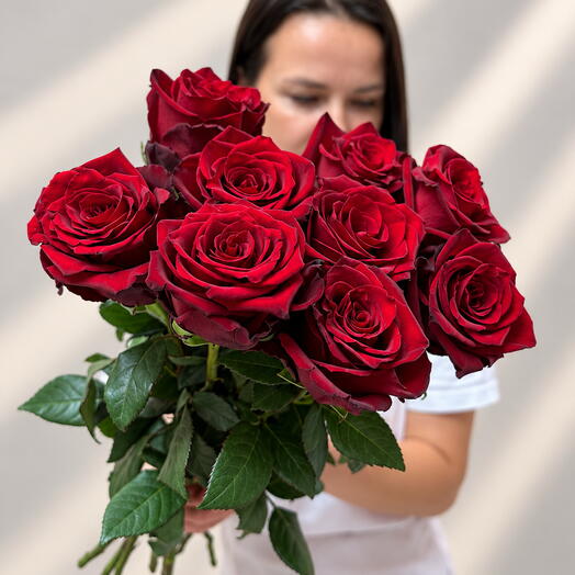 🌹 9 крупных красных роз Эквадор на ленте