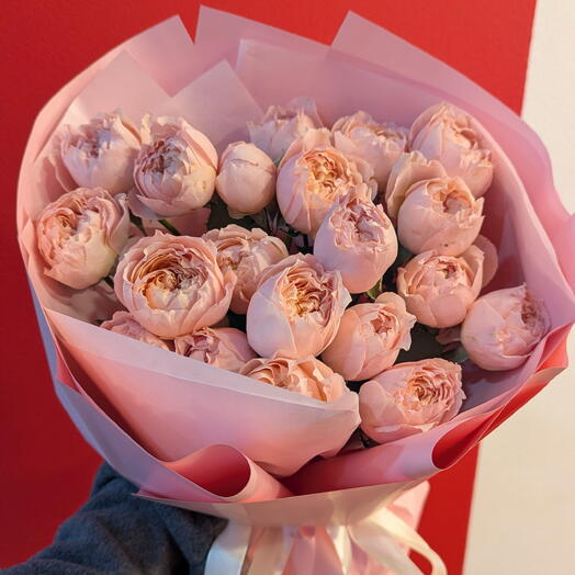 garden spray roses