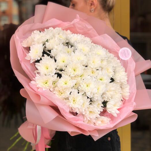 A snow-white cloud of chrysanthemums