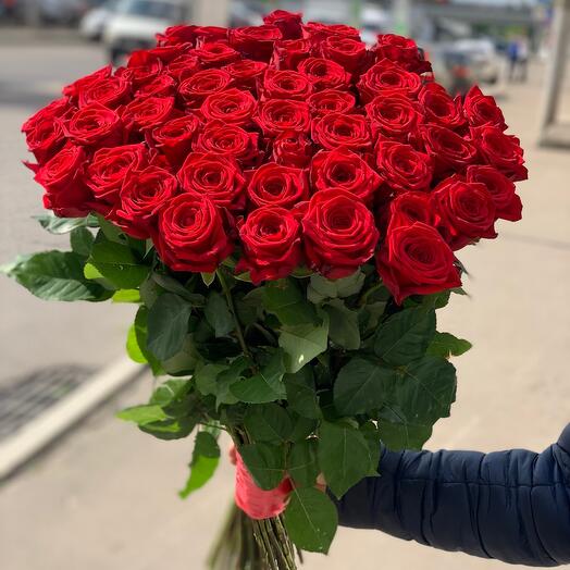 51 Роза Красная