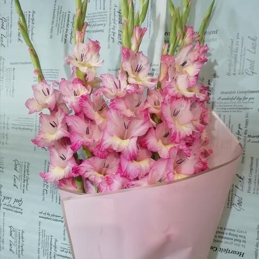 Bouquet of gladioli