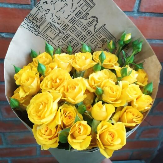"YELLOW" 5 rosas de arbusto