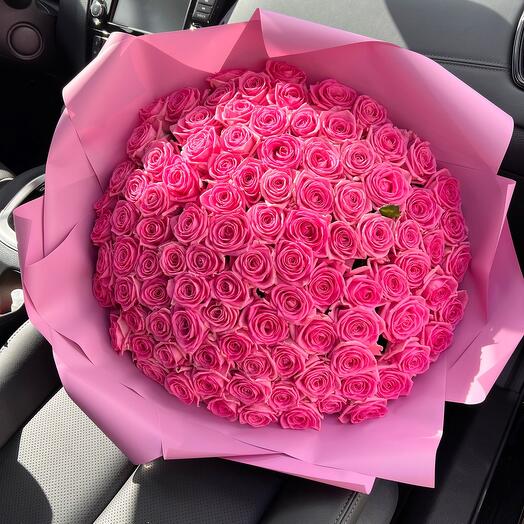 101 Pink Roses Aqua