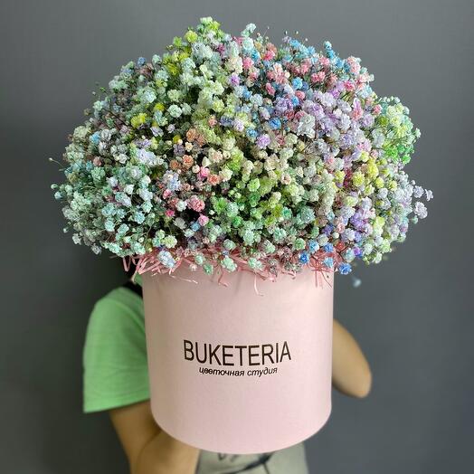 Бокс XL с гипсофилой