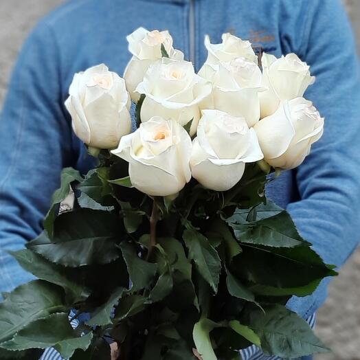 Rosas crema 9 piezas