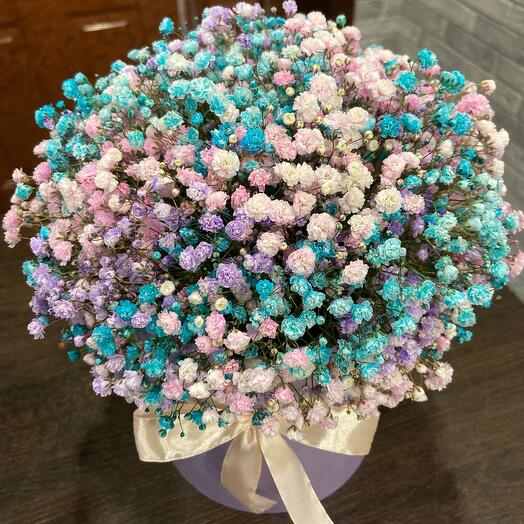 Gypsophila in a box mix