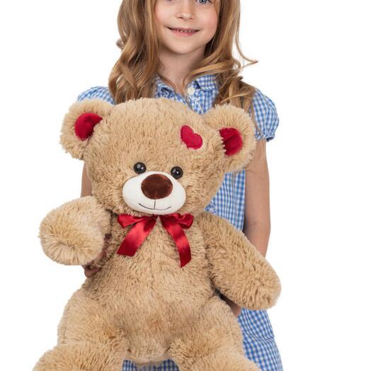 Oso de peluche Sam 50cm Café