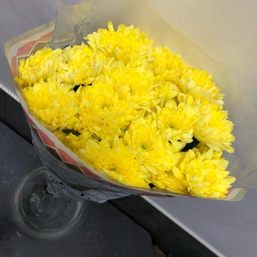 Хризантема кустовая 💛