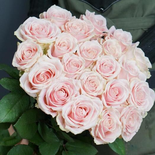 21 rosa rosa suave