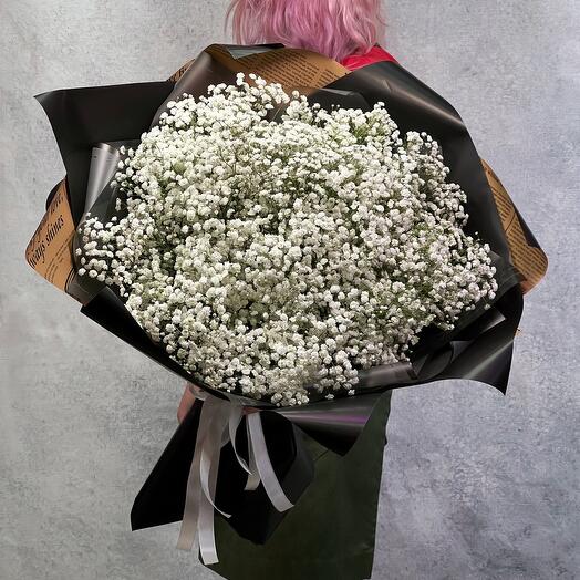 Cloud Gypsophila: take off