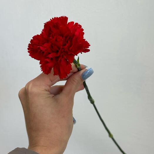 Clavel rojo