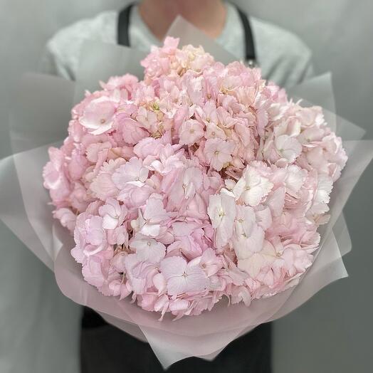 Букет из 5 розовых гортензий