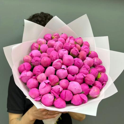 Fresh Peonies 59