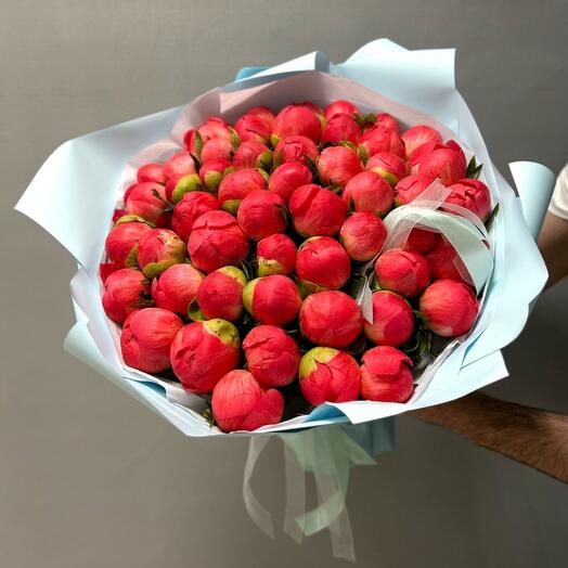 Bouquet of 51 Coral Sunset Peonies