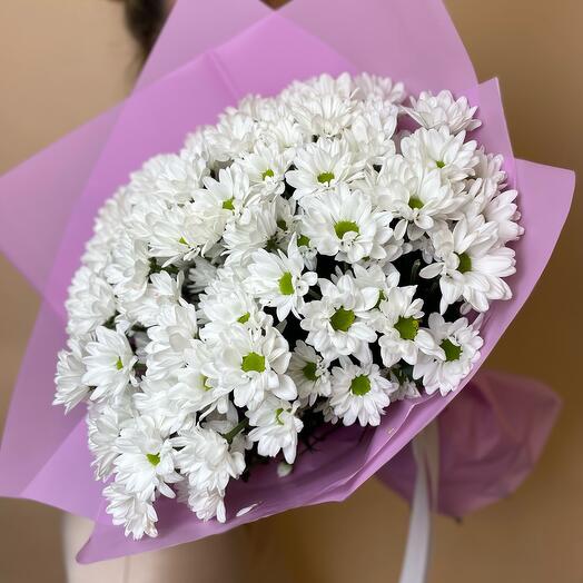 Хризантемы кустовые 15 шт