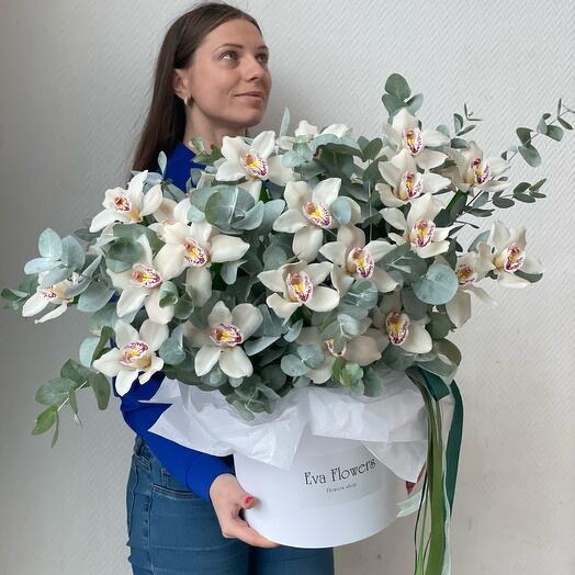 Орхидеи в коробке MAXI